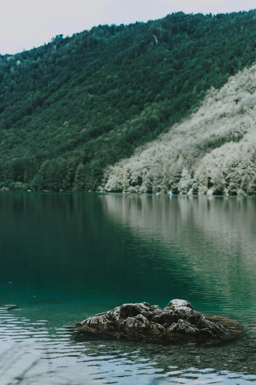 a man standing on top of a rock in the middle of a lake, a picture, inspired by Elsa Bleda, trending on unsplash, shades of green, slovenian, website banner, grainy film still