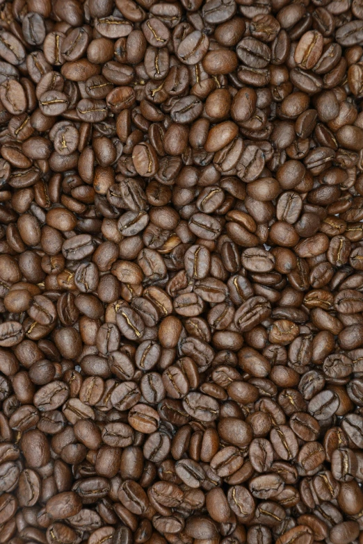 a pile of coffee beans, reddit, renaissance, detailed product image, wide overhead shot, panel, full - color