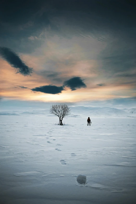 a lone person walking across a snow covered field, inspired by Michal Karcz, pexels contest winner, human staring blankly ahead, silhouetted, arctic, single tree