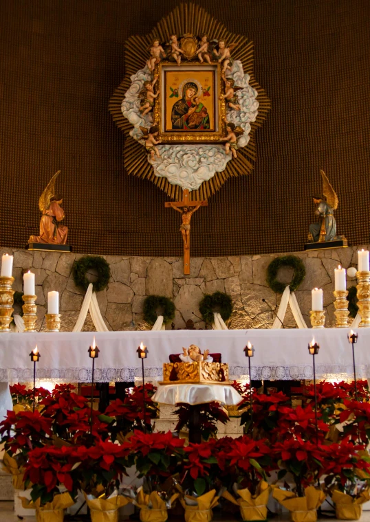 a church altar decorated with poinsettis and candles, cathedral of sun, profile image