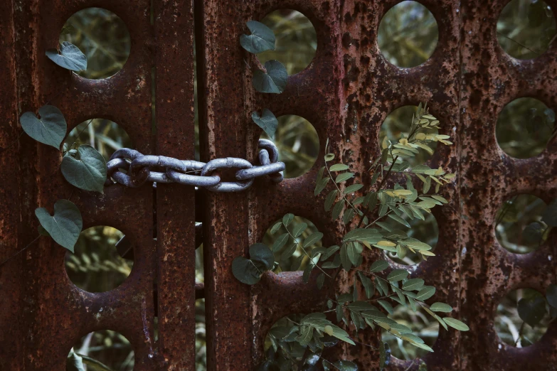 a rusty gate with a chain attached to it, inspired by Elsa Bleda, unsplash, cyberpunk in foliage, historical image, ((chains)), ignant