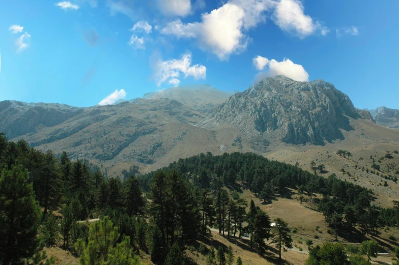 a view of a mountain range with trees in the foreground, by Muggur, pexels contest winner, les nabis, cyprus, slide show, panoramic, with matsu pine trees