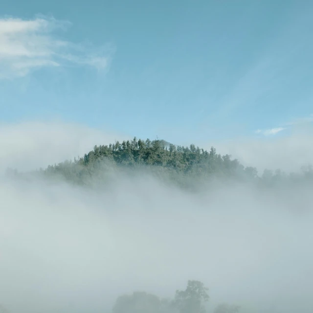 a herd of cattle standing on top of a lush green field, a picture, pexels contest winner, romanticism, castle made of clouds, observed from afar in the fog, hill with trees, sky blue