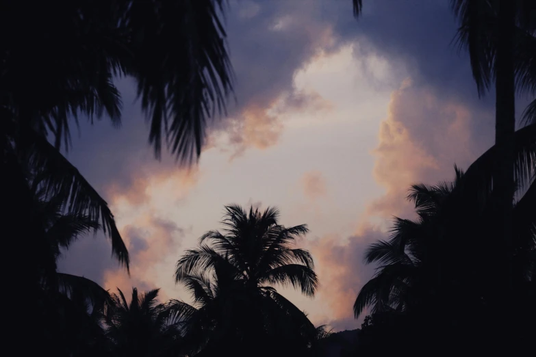 palm trees are silhouetted against a cloudy sky, inspired by Elsa Bleda, unsplash, ☁🌪🌙👩🏾, petra collins, during night, hurricane stromy clouds