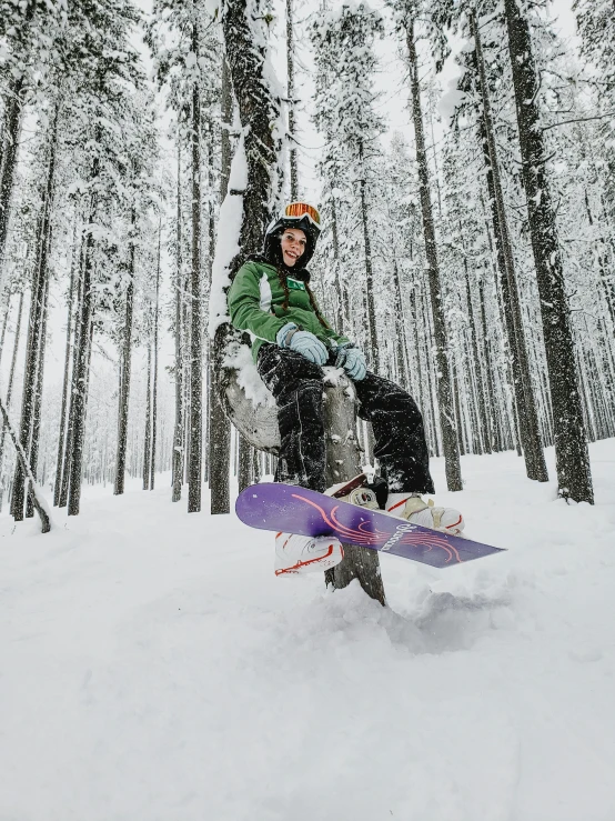 a man flying through the air while riding a snowboard, sitting on a tree, in avila pinewood, profile image