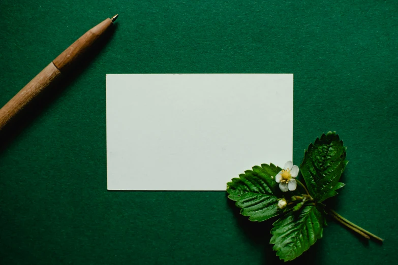 a pen sitting on top of a green surface next to a piece of paper, romantic greenery, thumbnail, card template, very aesthetically pleasing