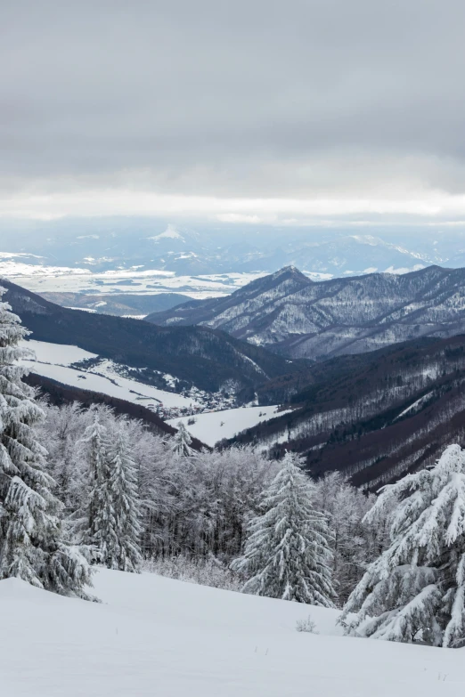 a man riding skis down a snow covered slope, by Adam Szentpétery, pexels contest winner, renaissance, panorama distant view, lush forest in valley below, transylvania, 8 k detailed photograph