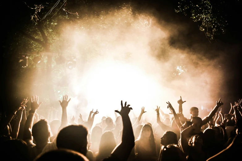 a crowd of people at a concert with their hands in the air, a photo, by Niko Henrichon, pexels contest winner, light haze, outdoor rave, profile image, frank moth