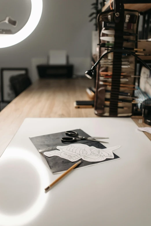 a light that is on top of a table, a drawing, by Daniel Seghers, pexels contest winner, arbeitsrat für kunst, glowforge template, studio medium format photograph, overview, studio lights