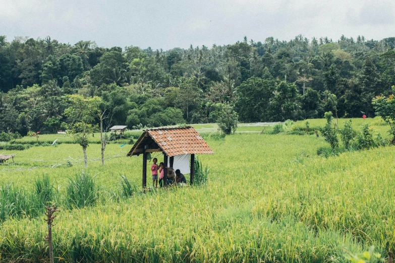 a small hut sitting in the middle of a lush green field, by Jessie Algie, unsplash, hurufiyya, barong family, people looking at a house, 2000s photo, illustration”