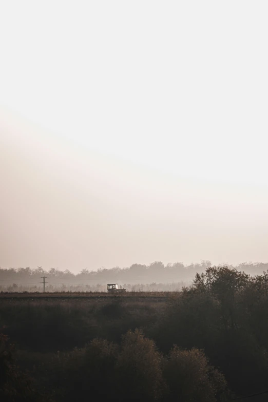 a herd of cattle grazing on top of a lush green field, a picture, trending on unsplash, tonalism, dust storm, indian forest, landscape from a car window, the morning river