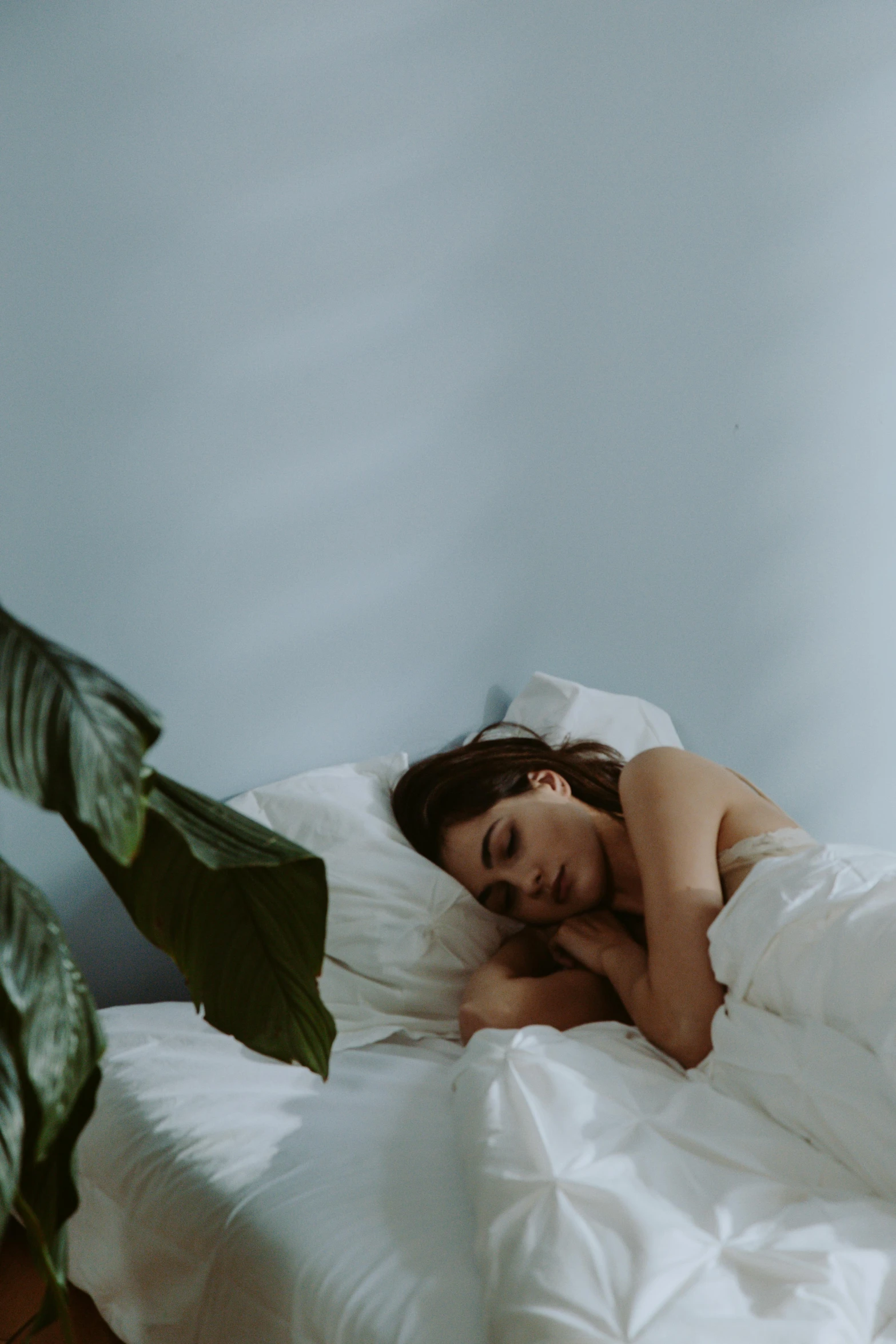 a woman laying on top of a bed next to a plant, profile image, sleepers, curled up under the covers, ignant