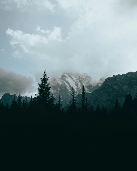 a black and white photo of a mountain range, by Emma Andijewska, unsplash contest winner, against the backdrop of trees, moody colors, tall pine trees, early evening