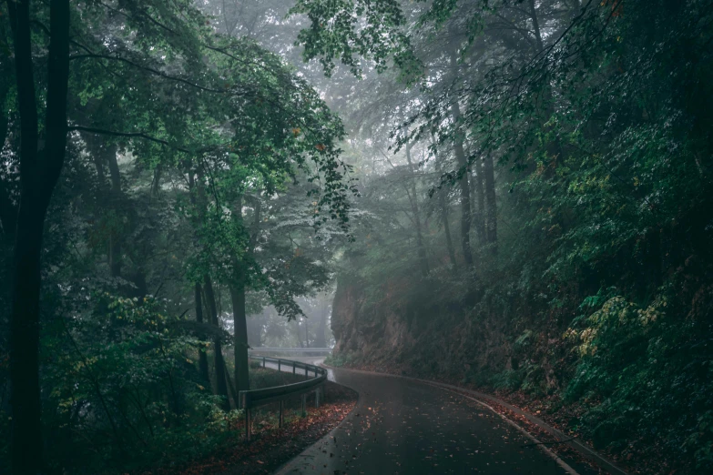 a road surrounded by trees on a foggy day, inspired by Elsa Bleda, unsplash contest winner, in between a gorge, green rain, 8 k cinematic, instagram photo