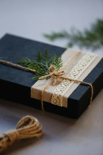a book wrapped in twine and tied with twine, inspired by Eden Box, unsplash, renaissance, matte black paper, organic ornaments, black fir, with ornamental edges