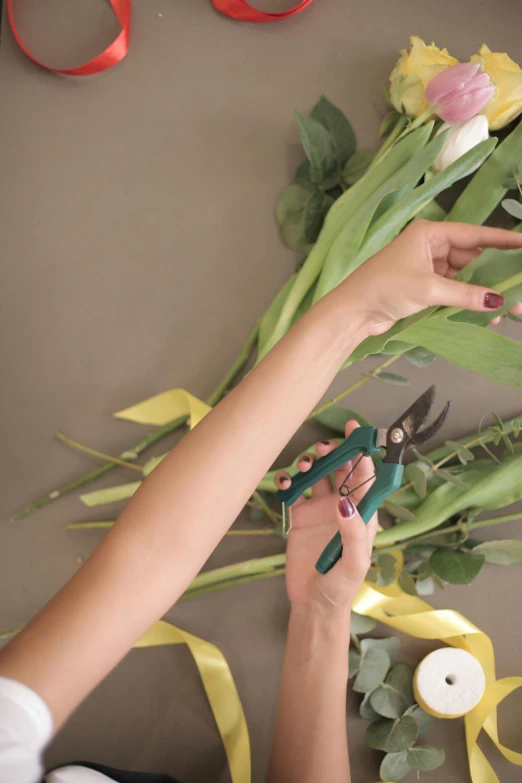 a woman holding a pair of scissors over a bunch of flowers, big leaves and stems, how-to, medium close shot, vine