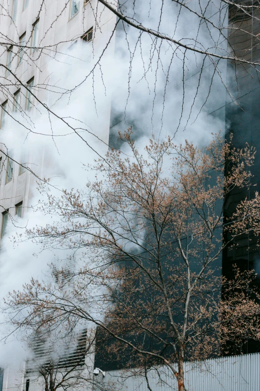 a building that has a lot of smoke coming out of it, inspired by Elsa Bleda, pexels contest winner, modernism, dry trees, high rises, leaves in the air, nature photo