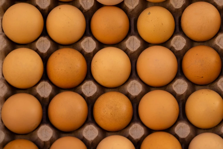 a carton filled with eggs sitting on top of a table, by Lee Loughridge, trending on unsplash, full frame image, 🦩🪐🐞👩🏻🦳, full of golden layers, round-cropped