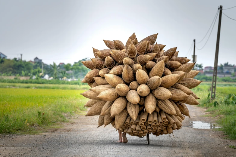 a person walking down a dirt road with a bunch of nuts on their back, inspired by Ai Weiwei, pexels contest winner, environmental art, made of bamboo, big pods, vietnamese woman, light cone