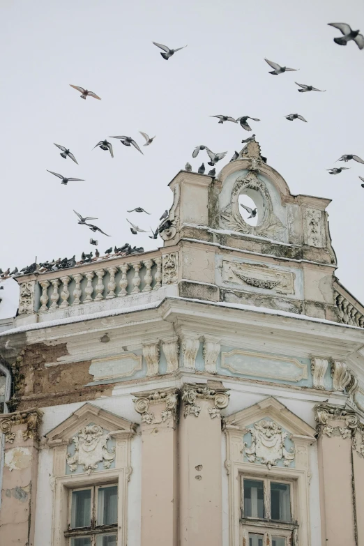 a flock of birds flying over a building, inspired by Mihály Munkácsy, trending on unsplash, baroque, snowy, vultures, dome, high quality photo