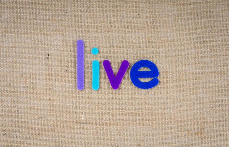 the word live is made out of plastic letters, unsplash, figuration libre, purple colour scheme, cardboard, jpeg artefacts on canvas, claymation style