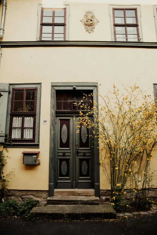 a yellow house with a black door and green shutters, a picture, by Konrad Witz, pexels contest winner, art nouveau, warm spring, tall door, autum, wilted flowers