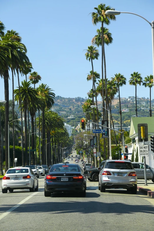 a street filled with lots of traffic next to tall palm trees, inspired by L. A. Ring, renaissance, holywood actress, we go