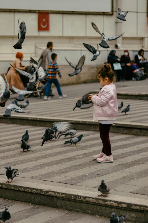 a little girl standing in front of a flock of pigeons, pexels contest winner, budapest street background, whirling, having a snack, in a square