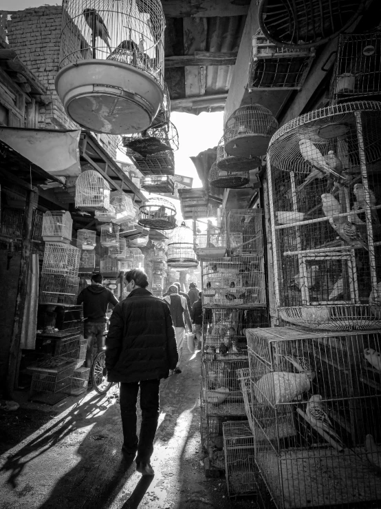 a black and white photo of a person walking down a street, by Emanuel Witz, pexels contest winner, inside an arabian market bazaar, pet bird, cages, jerusalem