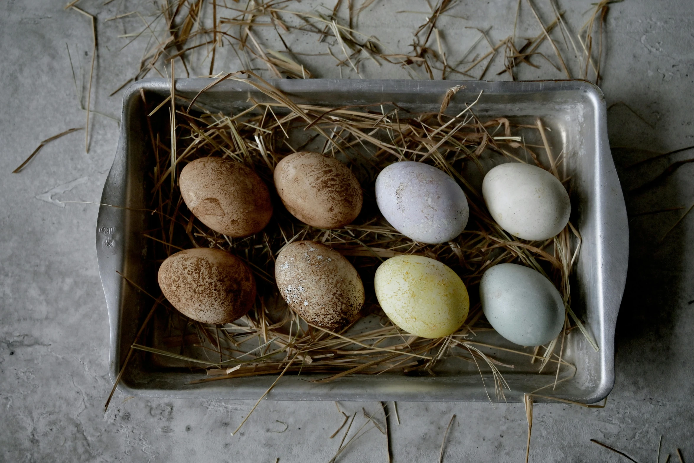 a tray filled with lots of different colored eggs, by Sylvia Wishart, unsplash, renaissance, rustic and weathered, shot for pottery magazine, eight eight eight, hemp