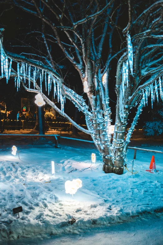 a tree with icicles hanging from it's branches, lamps on ground, lightshow, sculpture gardens, in the winter