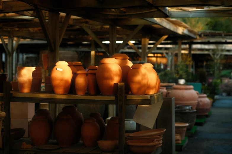 a row of clay pots sitting on top of a wooden shelf, in the evening, carrington, inside a shed, terracotta