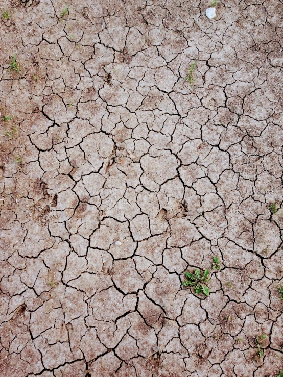 a red fire hydrant sitting on top of a dry grass covered field, by Kristin Nelson, cracked mud, 2 5 6 x 2 5 6 pixels, credit nasa, ( ( photograph ) )