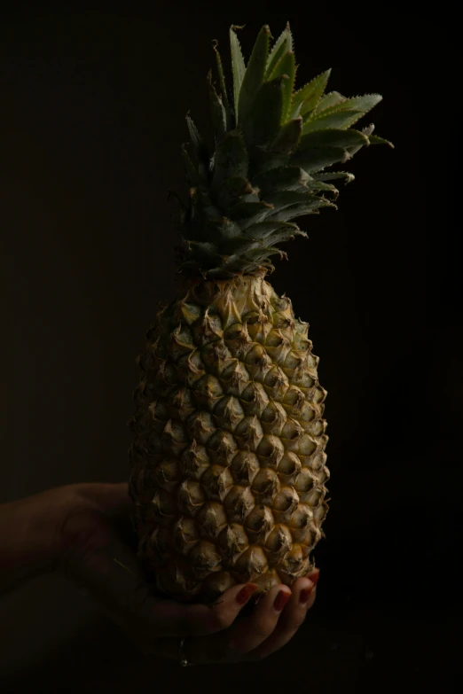 a person holding a pineapple in their hand, inspired by Elsa Bleda, unsplash, hyperrealism, dramatic lowkey studio lighting, ”ultra realistic, portrait of tall, cinematic shot ar 9:16 -n 6 -g
