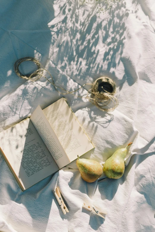 an open book sitting on top of a white blanket, a still life, by Maggie Hamilton, unsplash contest winner, pears, full sun, high angle shot, looking seductive