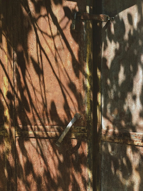 a red fire hydrant sitting on the side of a building, an album cover, inspired by Elsa Bleda, pexels contest winner, iron arc gate door texture, shadows from trees, brown, overgrown with vines