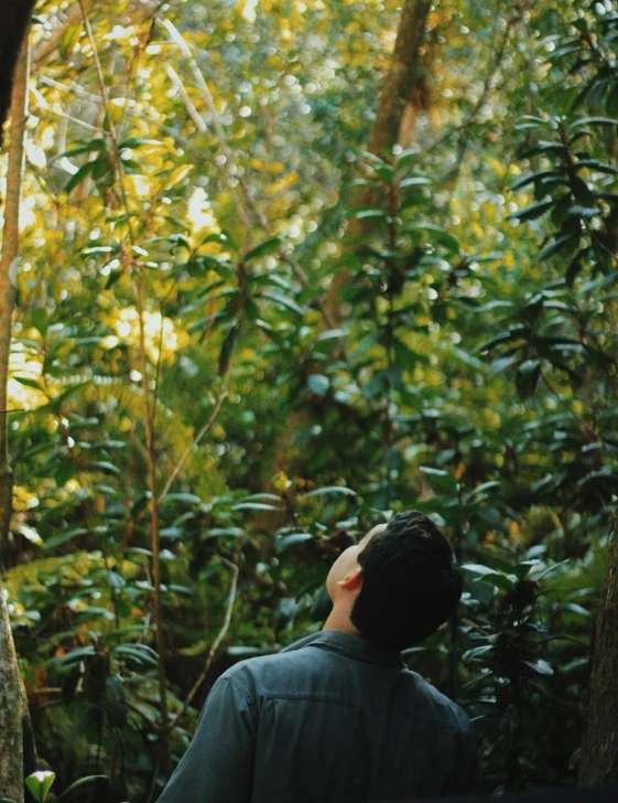 a man standing in the middle of a forest, inspired by Ren Hang, trending on unsplash, lush foliage, pondering, looking from behind, low quality photo