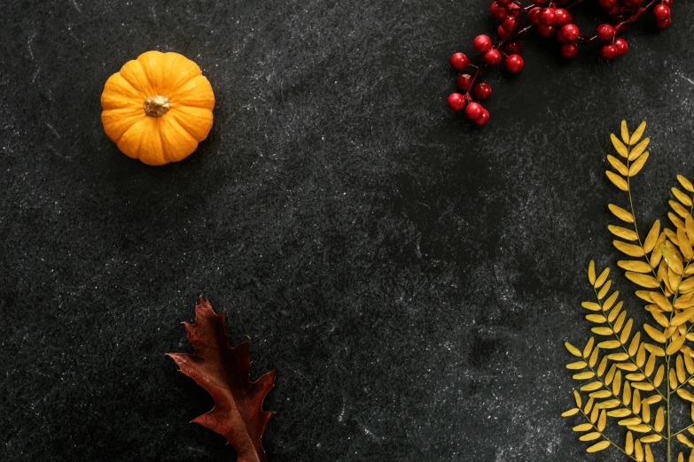 a couple of pumpkins sitting on top of a table, berries, profile image, background image, slate