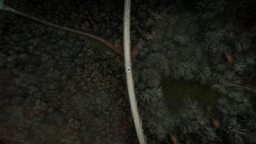 a car driving down a road in the middle of a forest, lit from above, paved roads, high forehead, overview