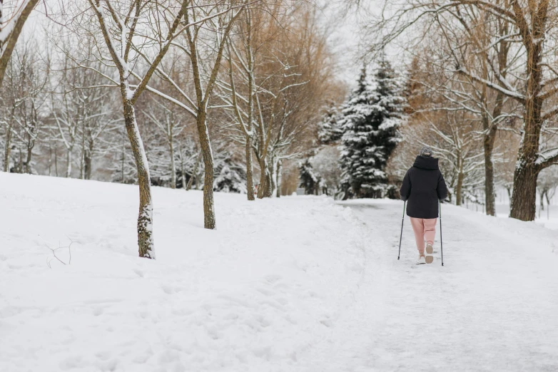 a person riding skis down a snow covered slope, by Julia Pishtar, pexels, walking at the garden, avatar image, with a walking cane, thumbnail