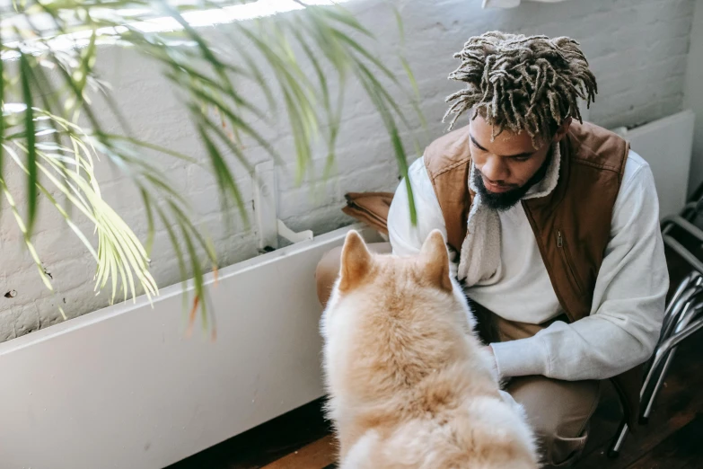 a man with dreadlocks sitting next to a dog, trending on pexels, visual art, cats and plants, short blonde afro, indoor scene, thumbnail