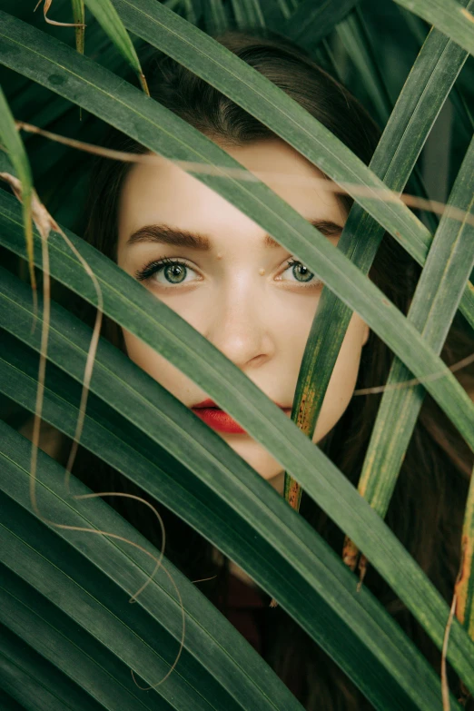 a woman peeking through the leaves of a palm tree, inspired by Elsa Bleda, unsplash contest winner, renaissance, portrait of barbara palvin, accurate green eyes, natalia dyer, in a bamboo forest