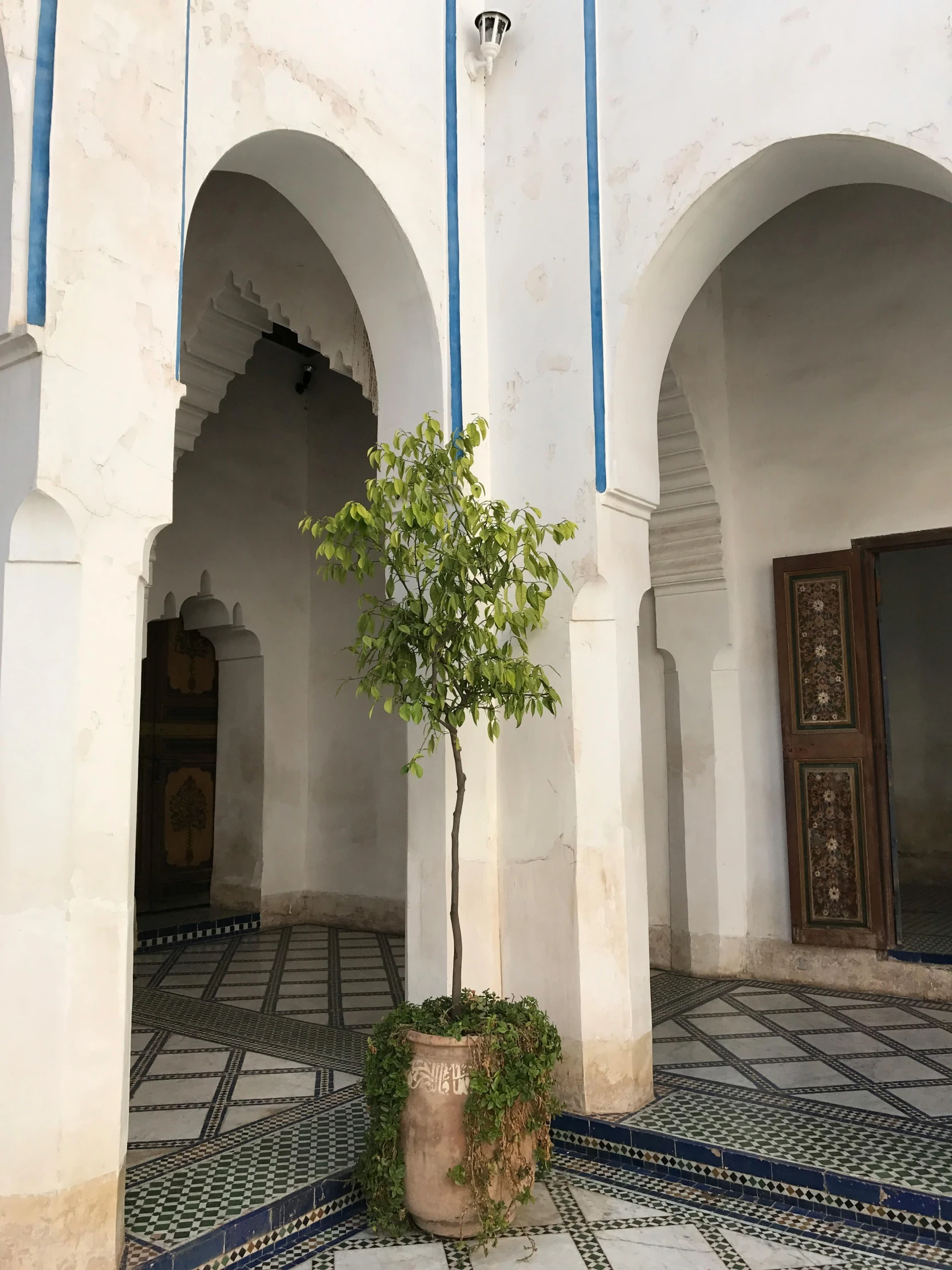 a building with a potted tree inside of it, inspired by Riad Beyrouti, arabesque, inside white room, private academy entrance, iphone photo