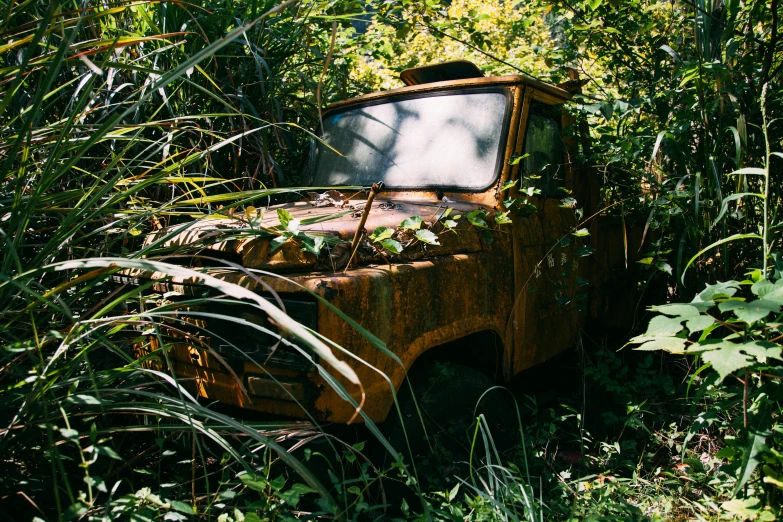 an old rusted truck sitting in the middle of a forest, inspired by Elsa Bleda, unsplash, auto-destructive art, overgrown with lush vines, medium format, ocher, analogue photo
