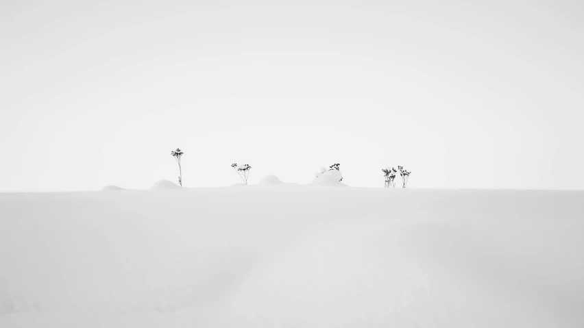 a group of people riding skis down a snow covered slope, a black and white photo, by Matthias Weischer, unsplash contest winner, minimalism, plants growing, cows, white sand, minimalist art