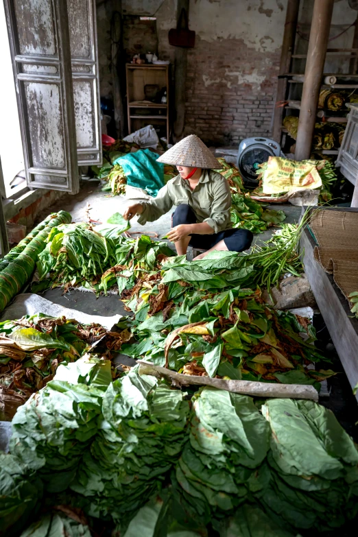 a man sitting on top of a pile of lettuce, inspired by Ruth Jên, process art, taking tobacco snuff, inside her temple, large leaves, slide show