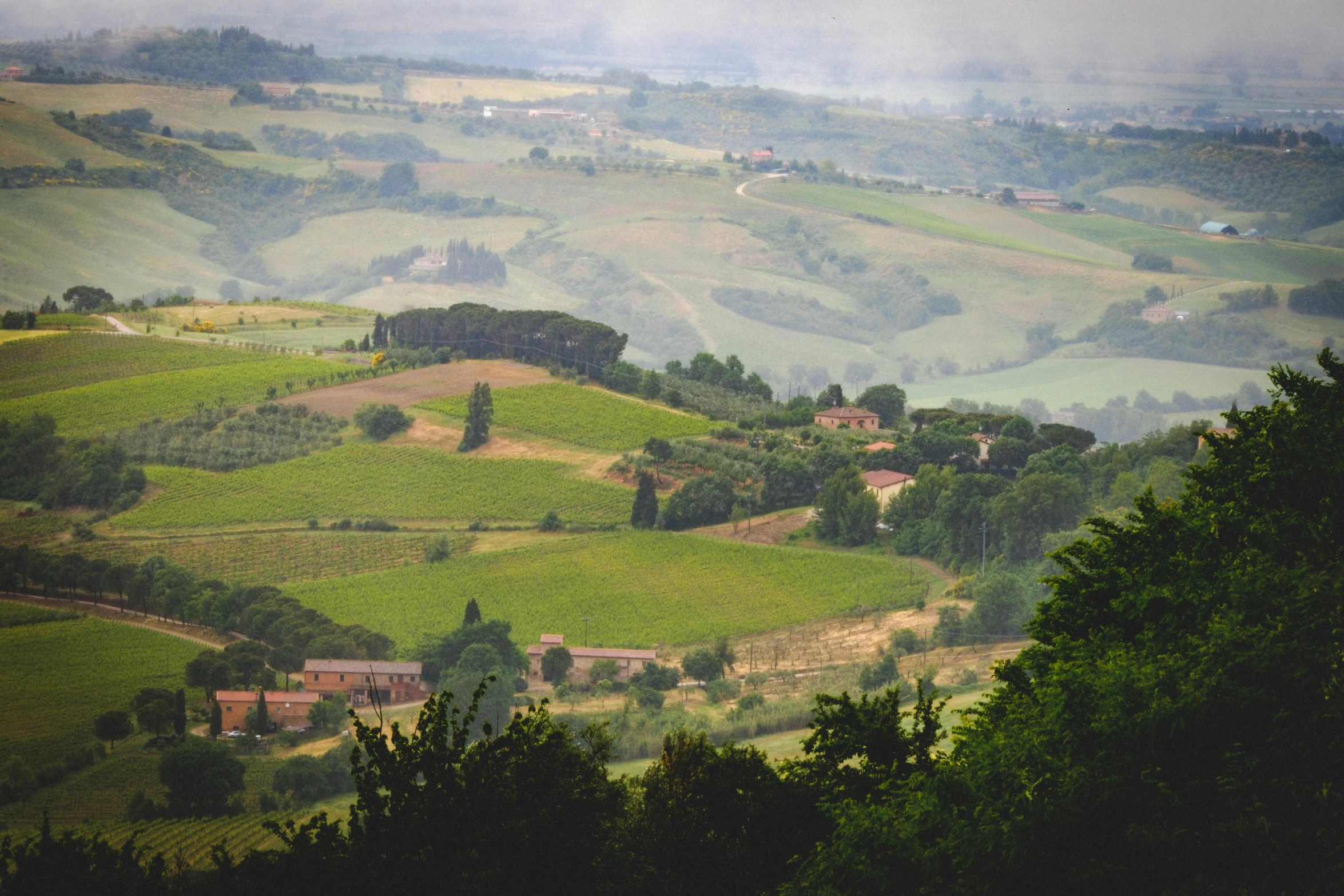 a view of the countryside from the top of a hill, pexels contest winner, renaissance, wine, promo image, staggered terraces, studio ghibili