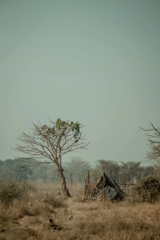 a giraffe standing on top of a dry grass covered field, tribe huts in the jungle, wind blown trees, an abandoned, image from afar