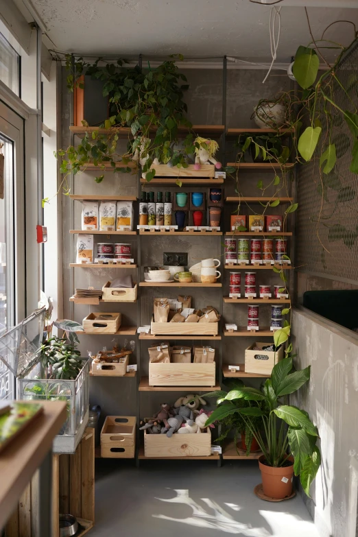 a shelf filled with lots of food next to a window, renaissance, lush botany, sustainable materials, shop front, plan