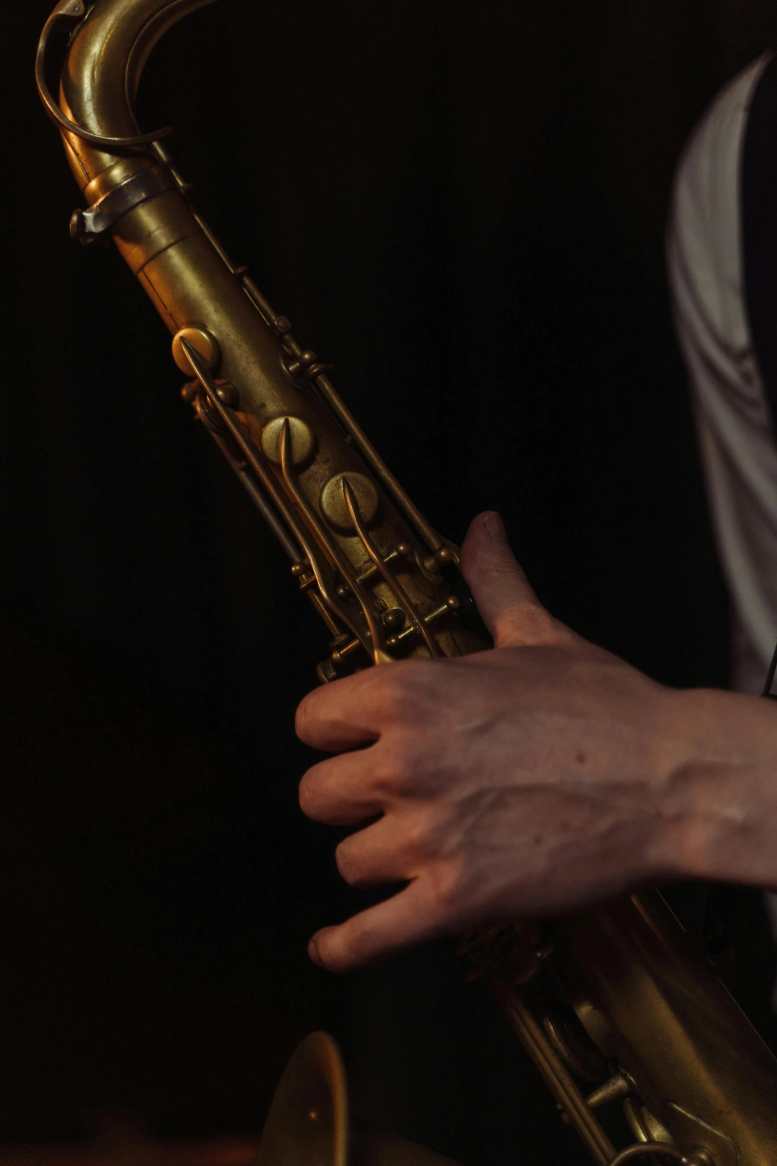 a close up of a person playing a saxophone, scaled arm, max dennison, taken in the early 2020s, handcrafted